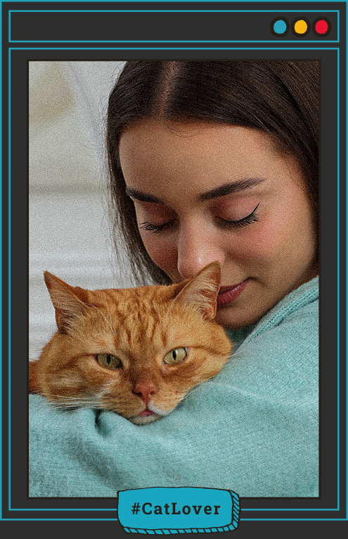 ¿los gatos sienten apego por sus dueños?